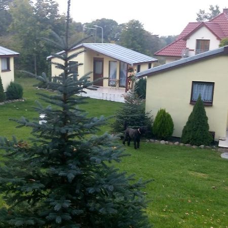 Lubin  Domki Letniskowe W Wapnicy 빌라 외부 사진