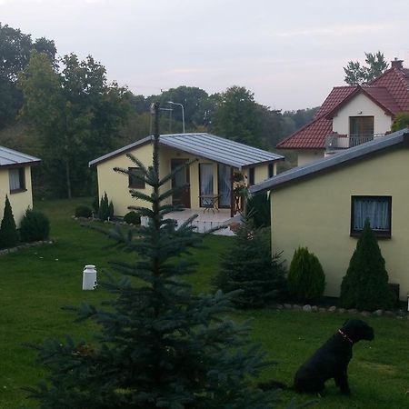 Lubin  Domki Letniskowe W Wapnicy 빌라 외부 사진